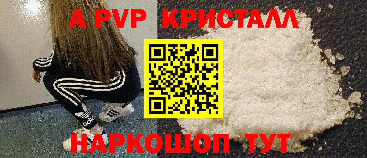Альфа ПВП СК Шахты