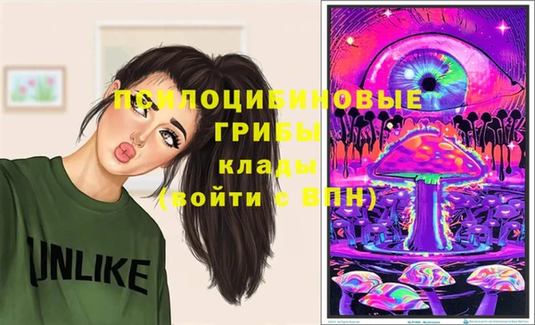 соль ск Наволоки