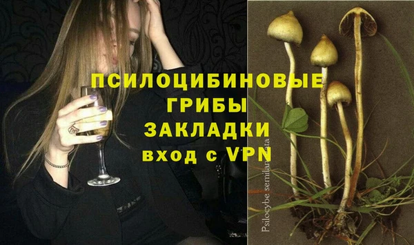 а пвп мука Алзамай