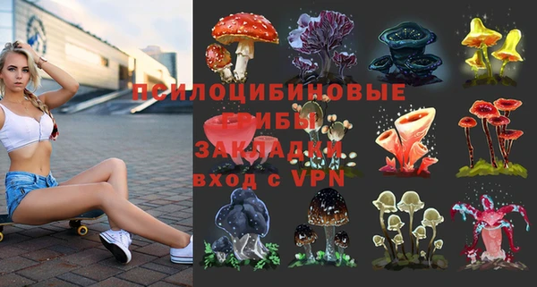 а пвп мука Алзамай