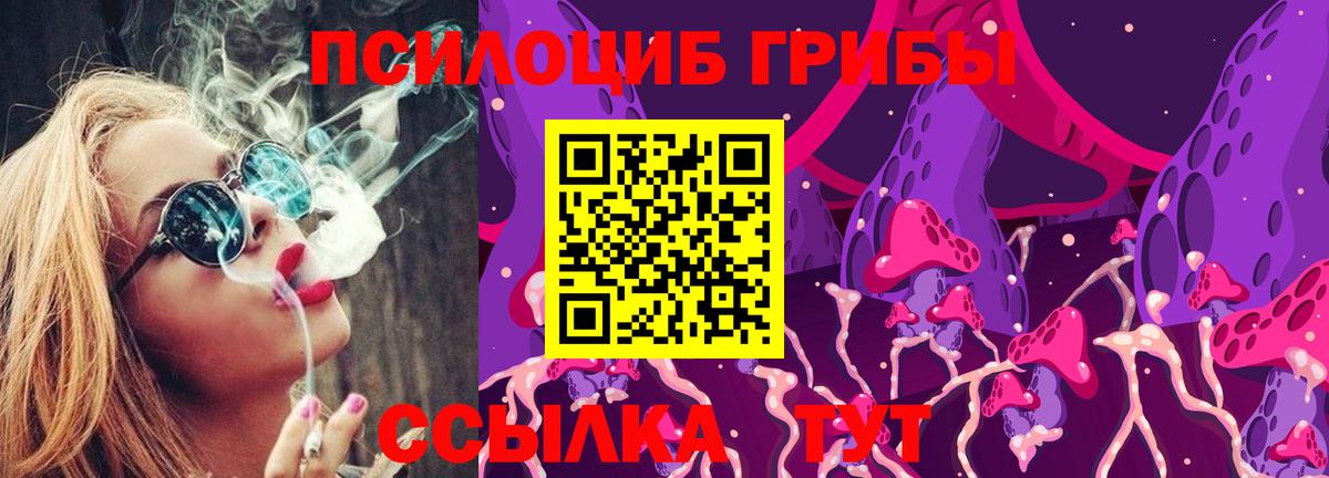 Псилоцибиновые грибы мухоморы  Псилоцибиновые грибы мухоморы  Шахты  Вход с VPN 