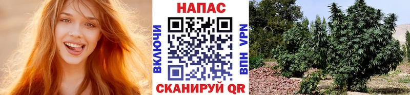 mega маркетплейс  Шахты  МАРИХУАНА THC 21% 